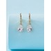 Cubic Zirconia Water Drop Earrings
