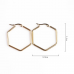 Stainless Steel Hexagon Hoops