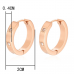 Stainless Steel CZ Decor Hoops in Rose Gold