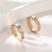 Stainless Steel CZ Decor Hoops in Rose Gold