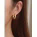 Stainless Steel Cubic Zirconia Decor Hoop Earrings