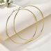 Stainless Steel Oversized Basic Hoops